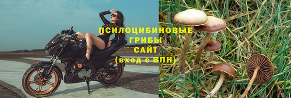 ALPHA PVP Абаза