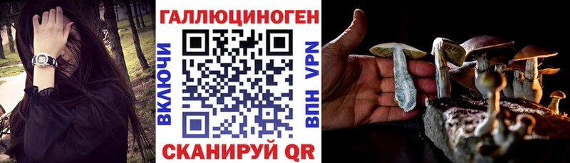 как найти закладки  Новое Девяткино  Галлюциногенные грибы Psilocybine cubensis 